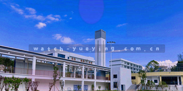 象征公平与契约精神的天平图标，置于悦盈体育使用条款页面顶部